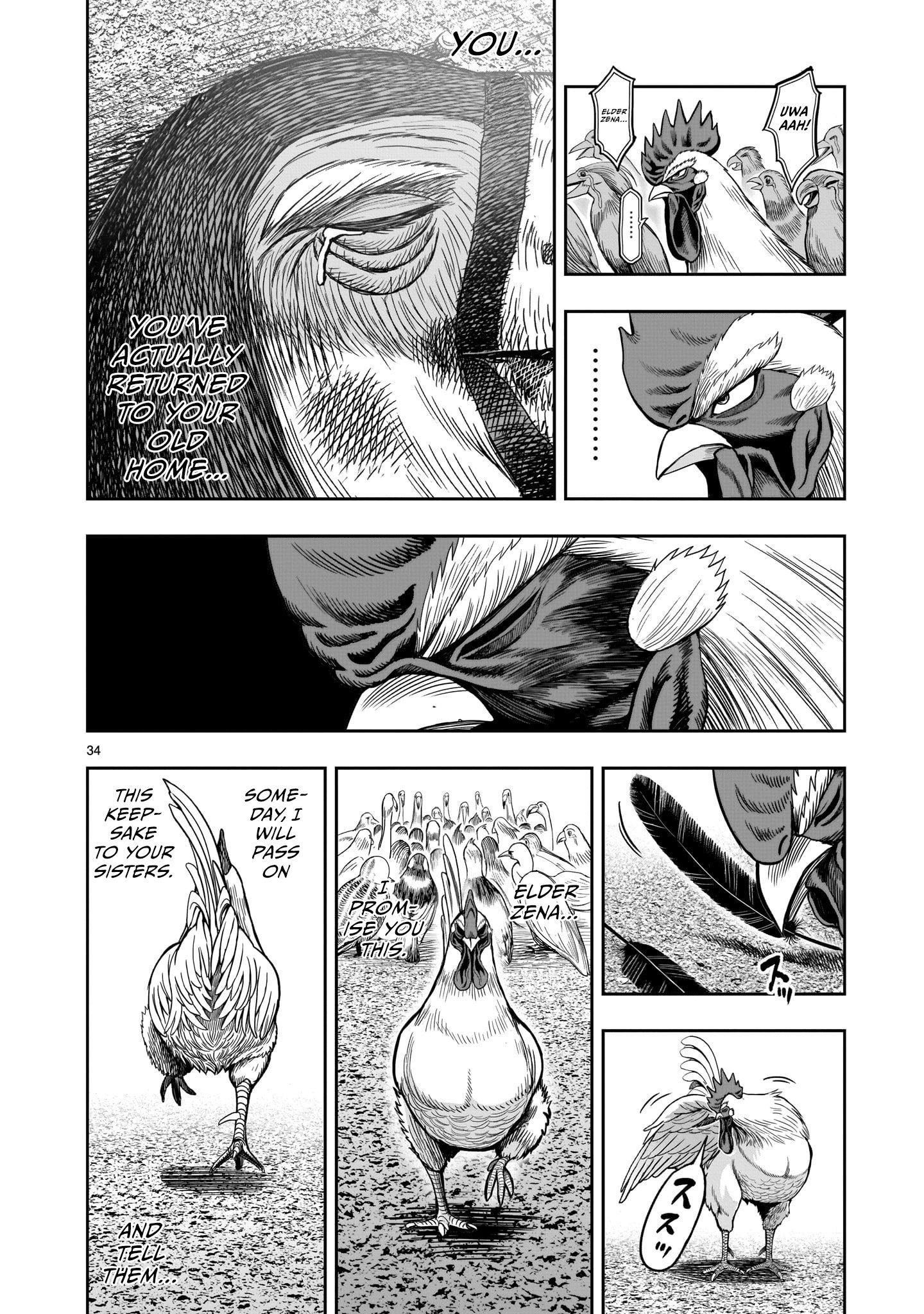 Read Rooster Fighter EN Manga Online