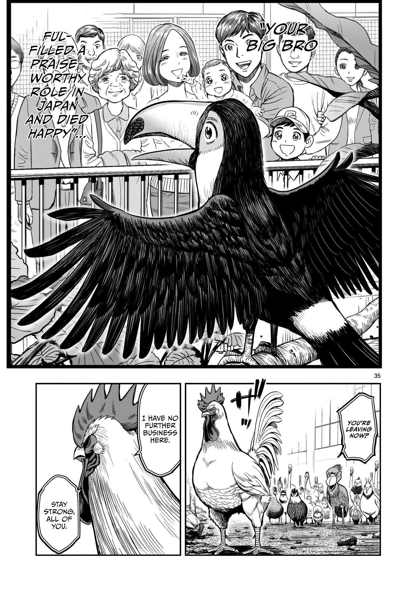 Read Rooster Fighter EN Manga Online