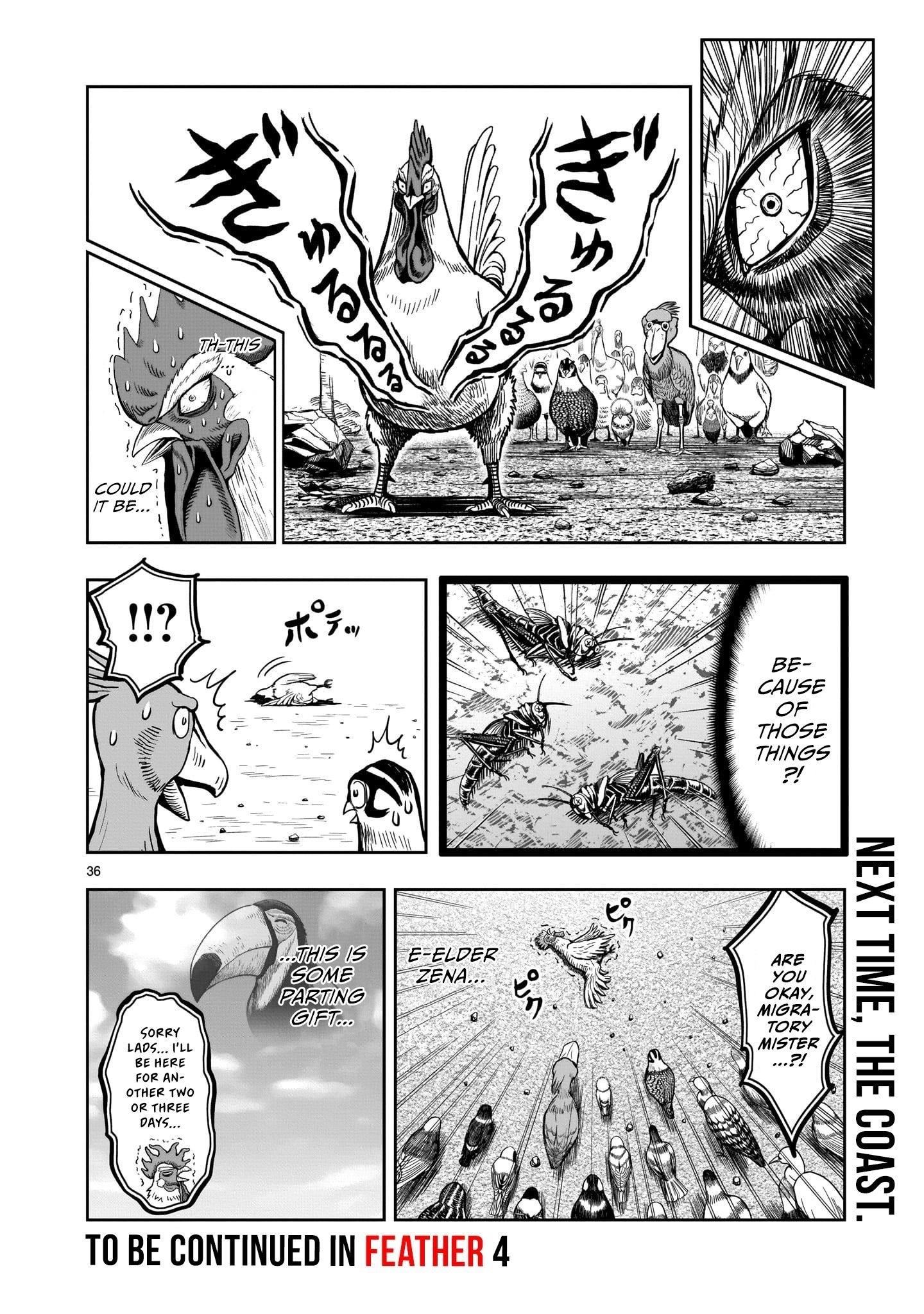 Read Rooster Fighter EN Manga Online