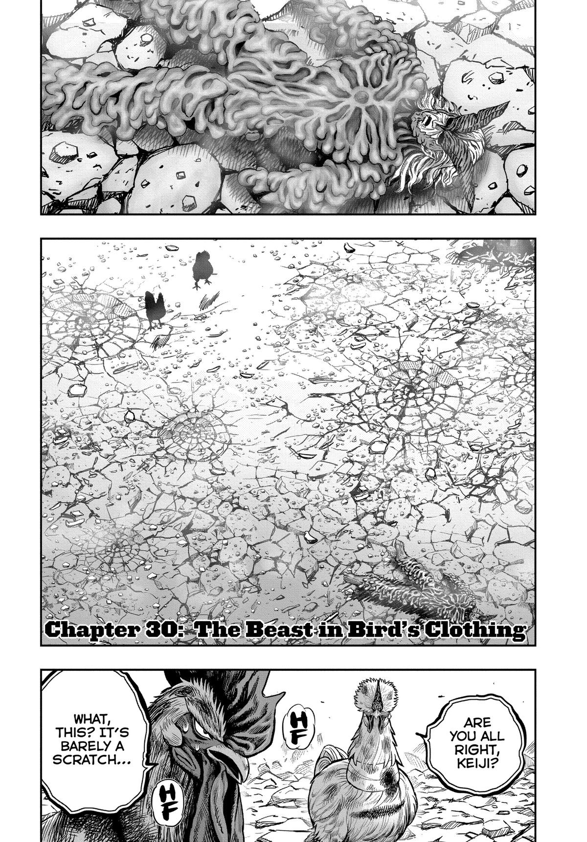 Read Rooster Fighter EN Manga Online