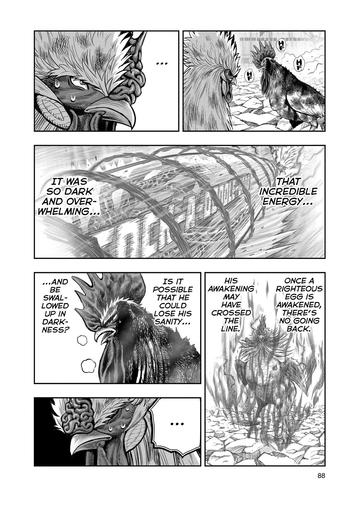 Read Rooster Fighter EN Manga Online