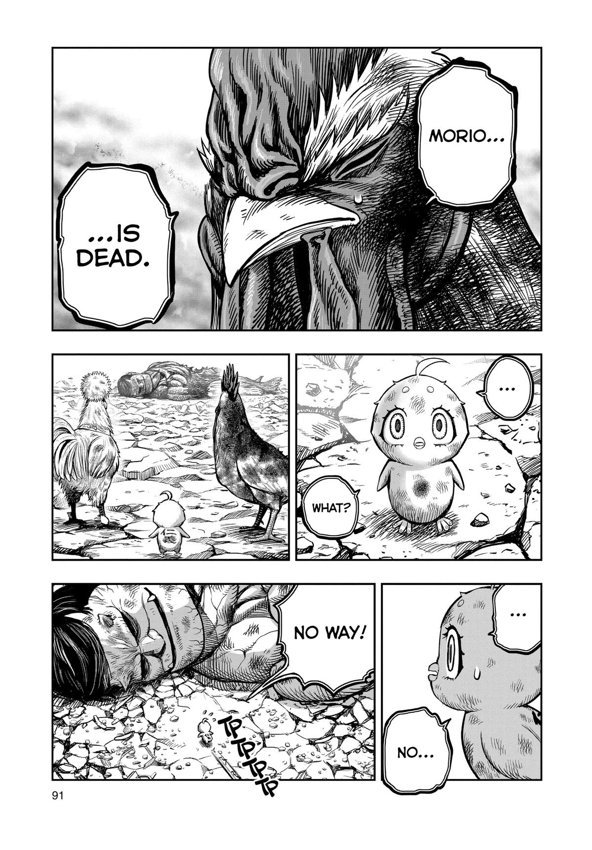 Read Rooster Fighter EN Manga Online