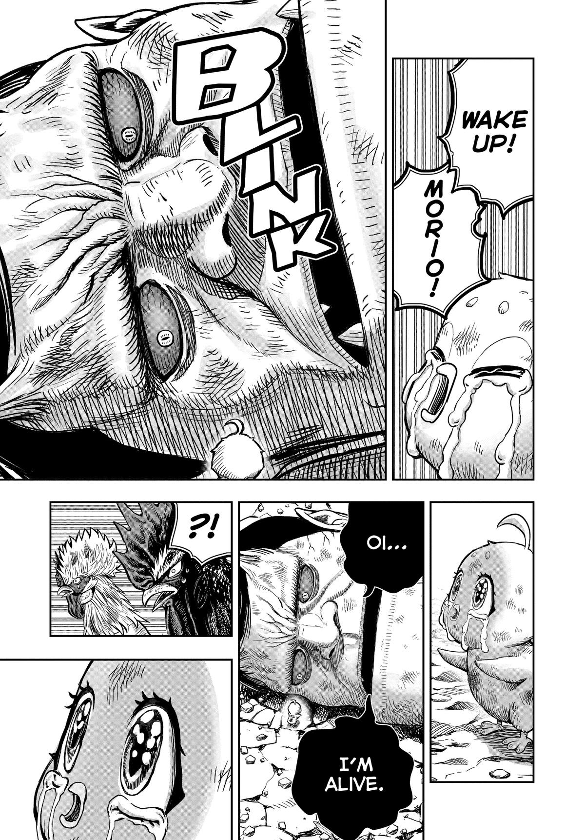 Read Rooster Fighter EN Manga Online
