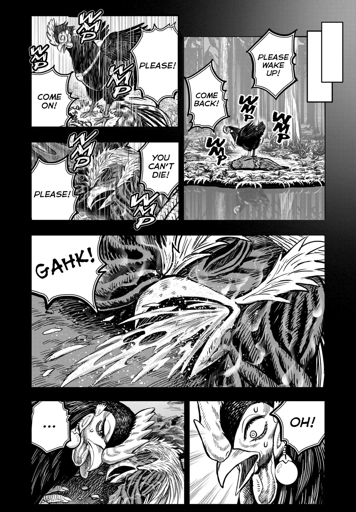 Read Rooster Fighter EN Manga Online