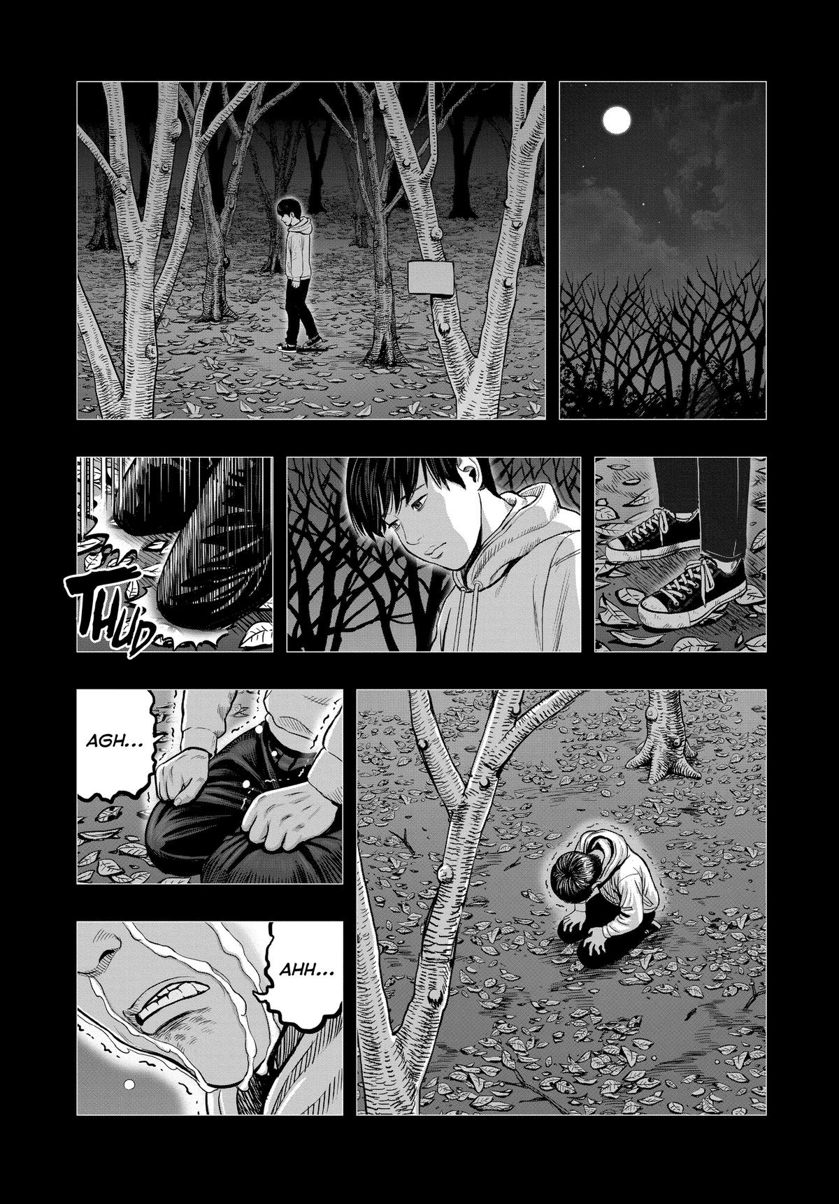 Read Rooster Fighter EN Manga Online
