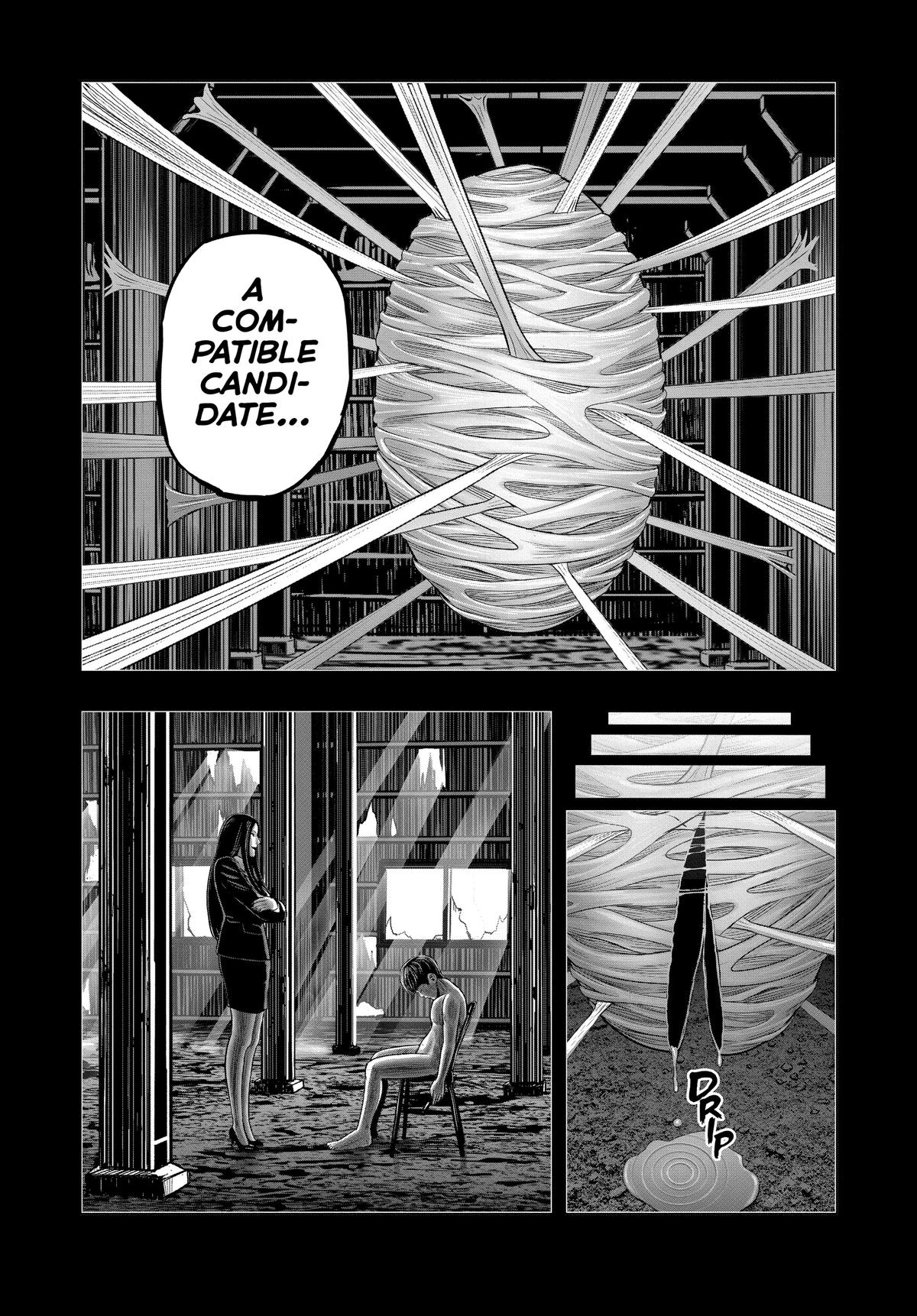 Read Rooster Fighter EN Manga Online