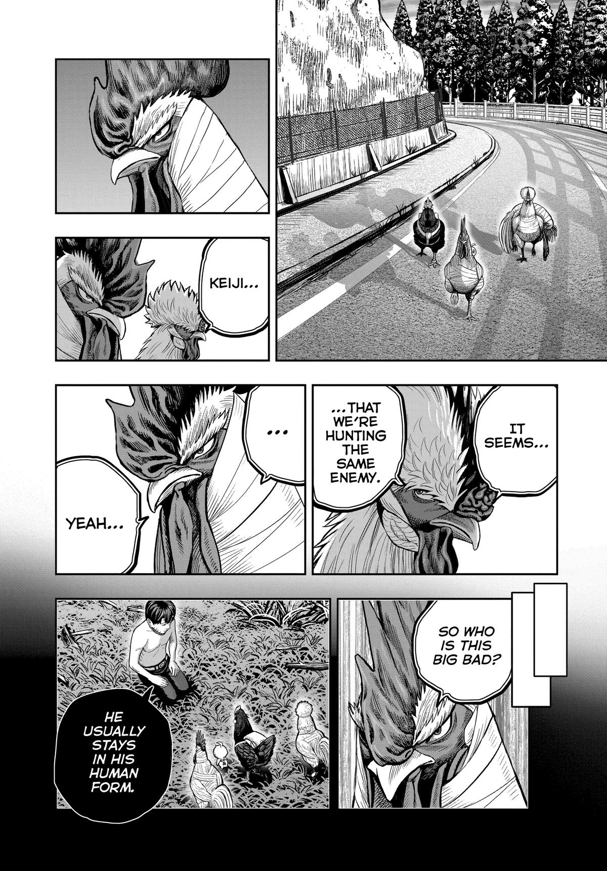 Read Rooster Fighter EN Manga Online