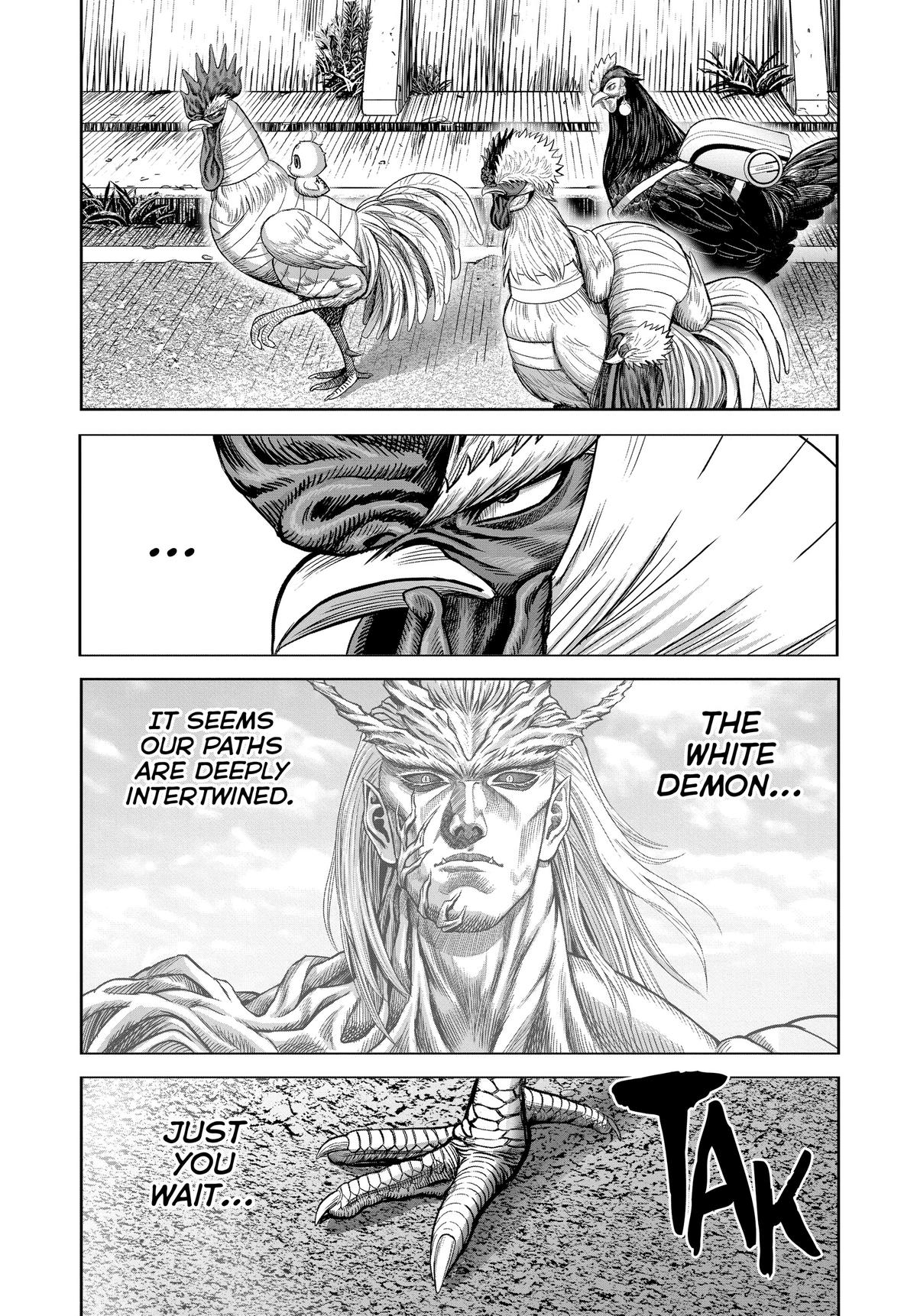 Read Rooster Fighter EN Manga Online