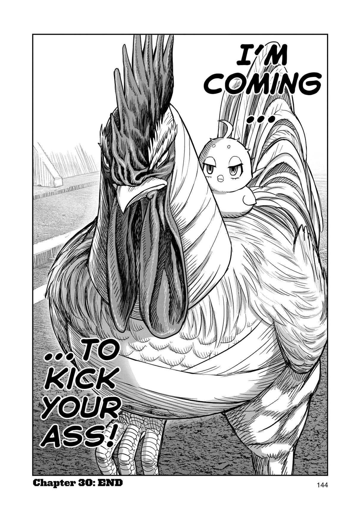Read Rooster Fighter EN Manga Online