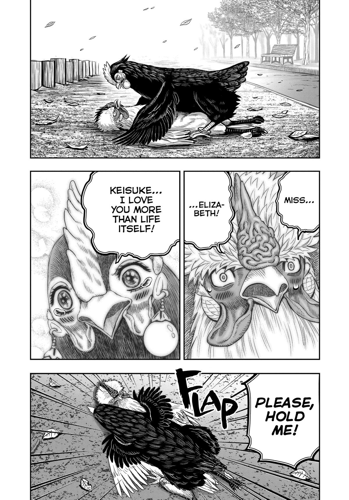 Read Rooster Fighter EN Manga Online