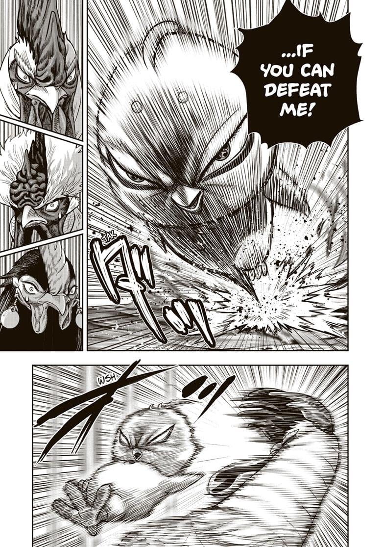 Read Rooster Fighter EN Manga Online
