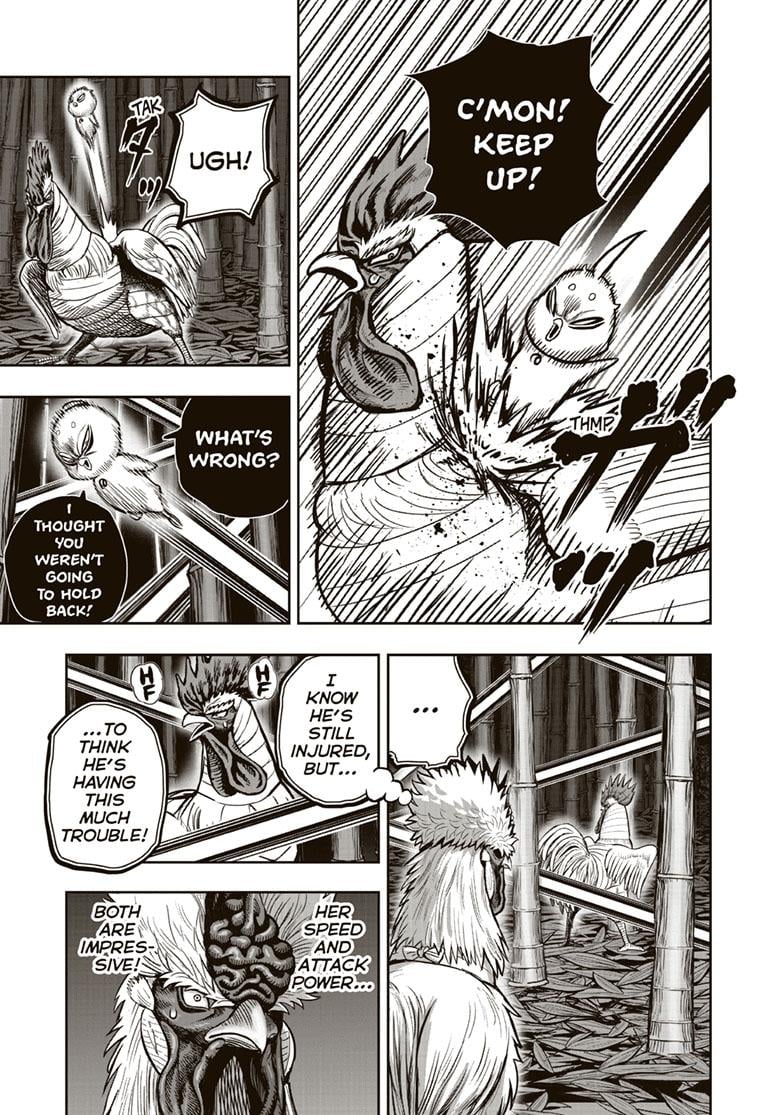 Read Rooster Fighter EN Manga Online