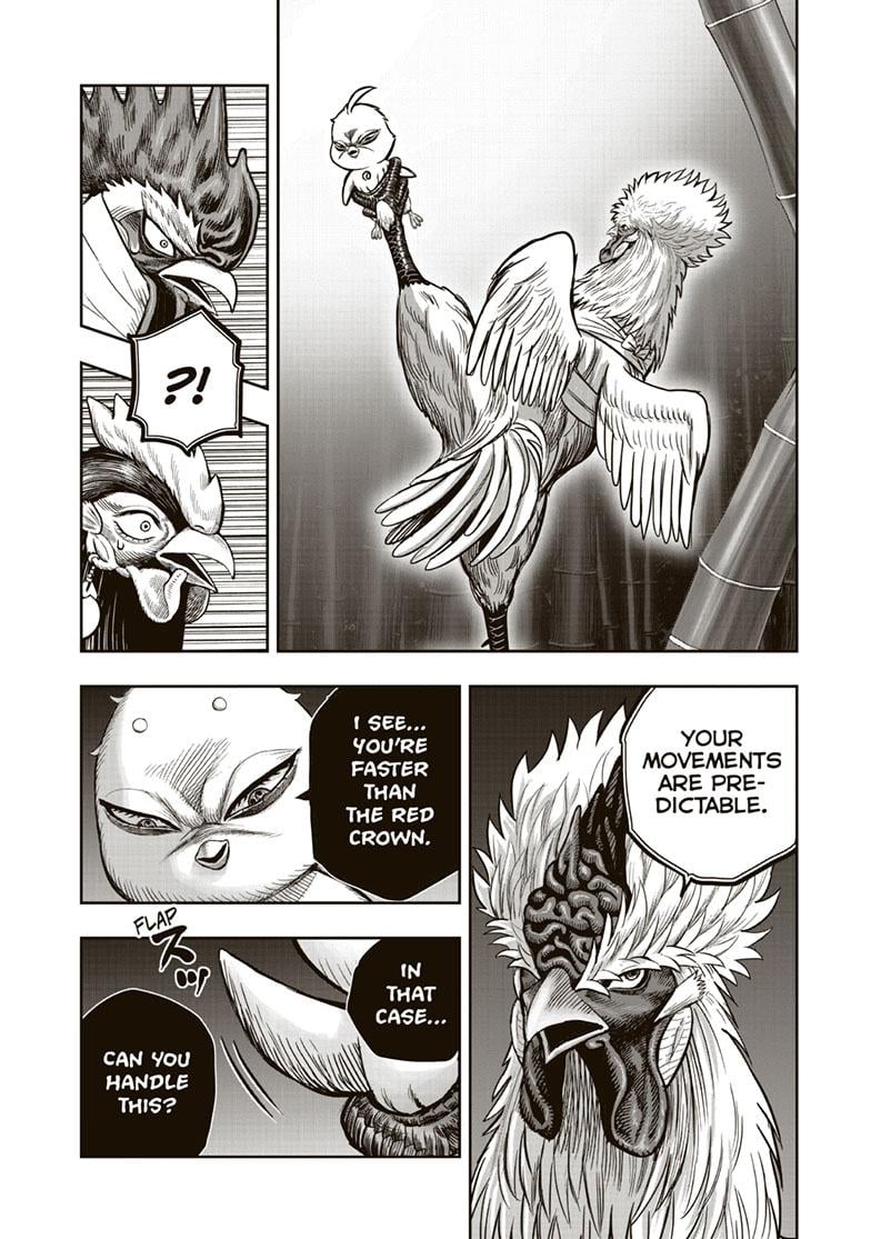 Read Rooster Fighter EN Manga Online