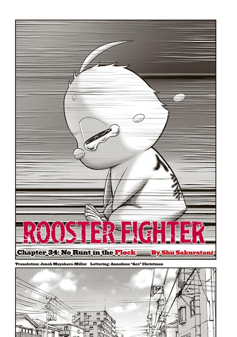 Read Rooster Fighter EN Manga Online