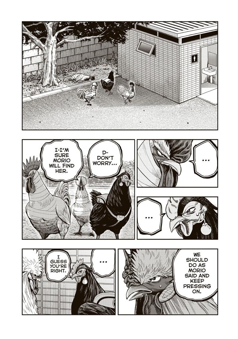 Read Rooster Fighter EN Manga Online