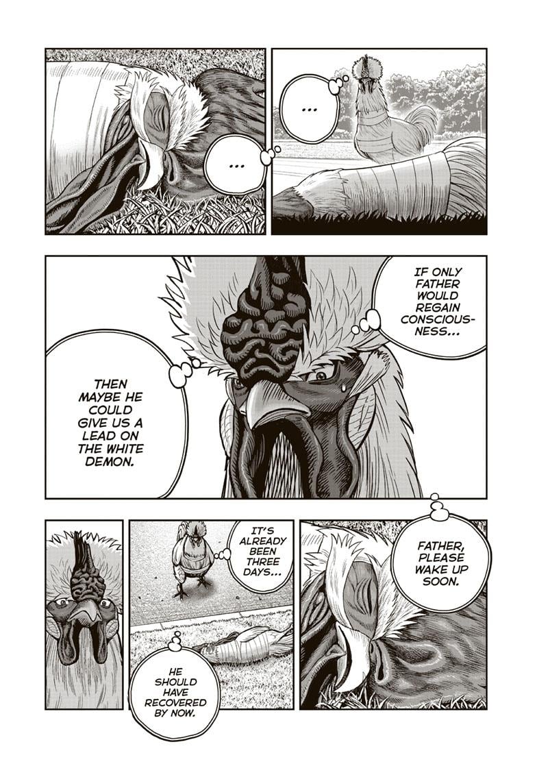 Read Rooster Fighter EN Manga Online