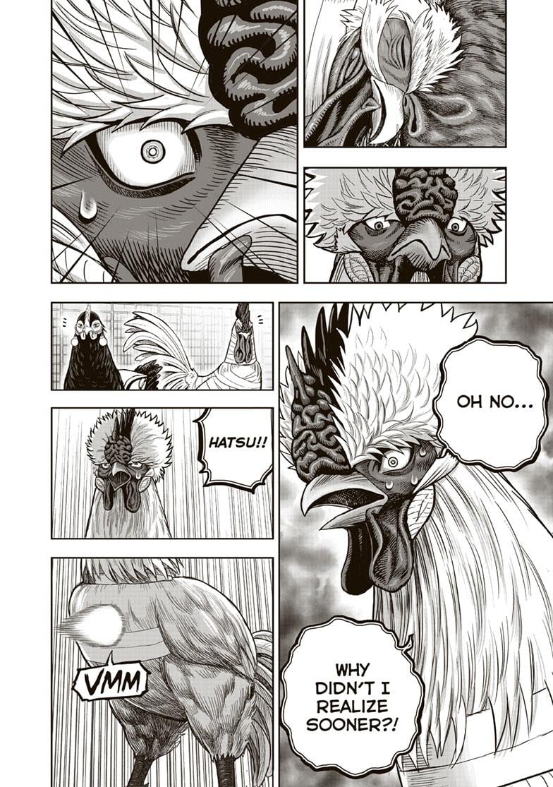 Read Rooster Fighter EN Manga Online