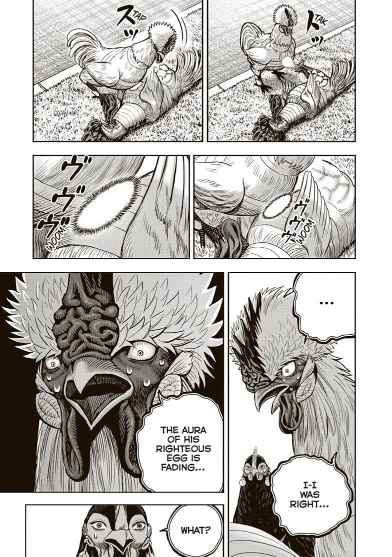 Read Rooster Fighter EN Manga Online