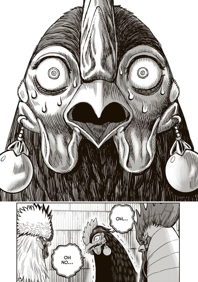 Read Rooster Fighter EN Manga Online