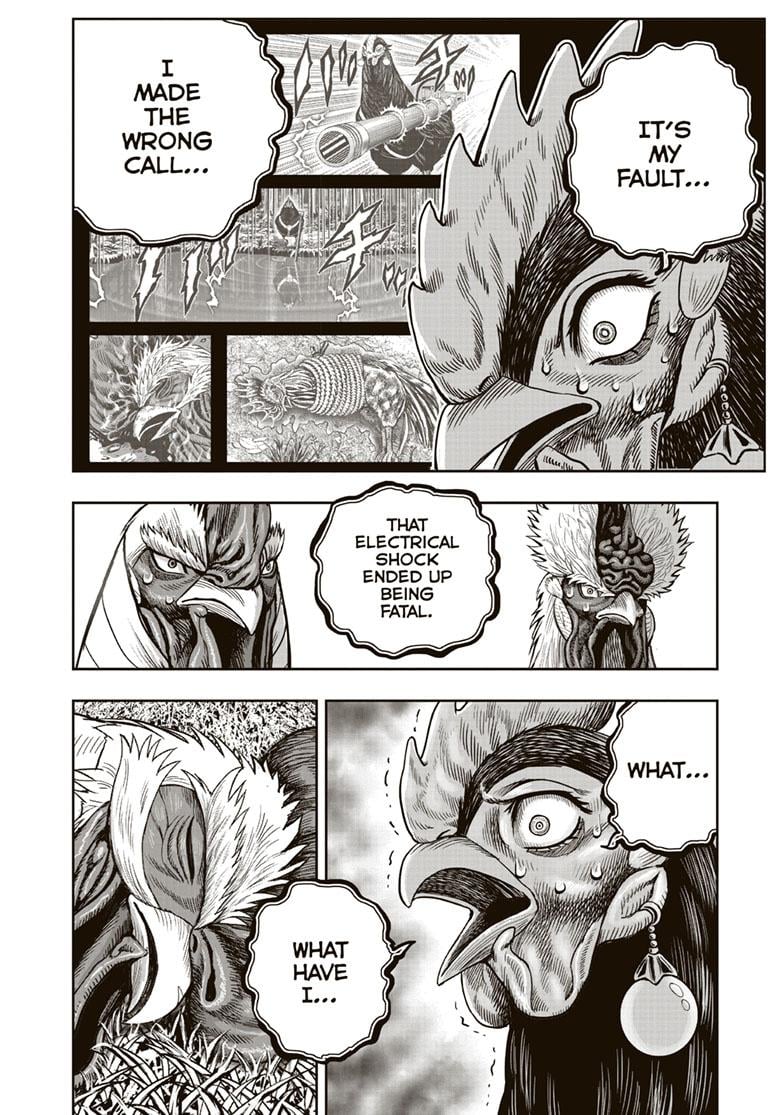Read Rooster Fighter EN Manga Online