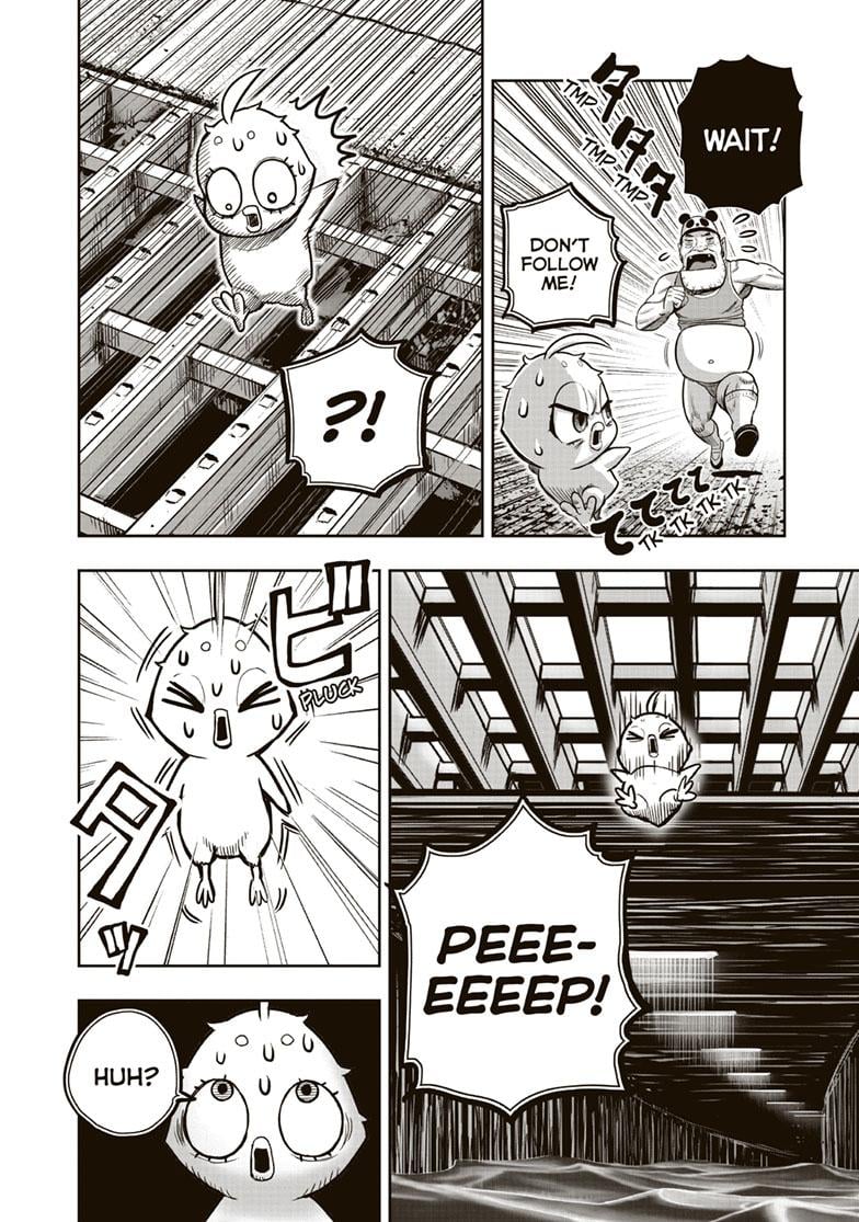 Read Rooster Fighter EN Manga Online