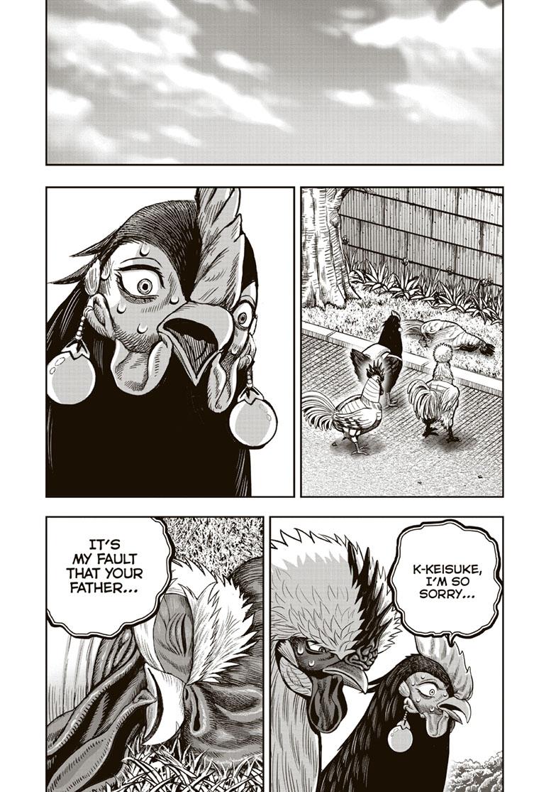 Read Rooster Fighter EN Manga Online