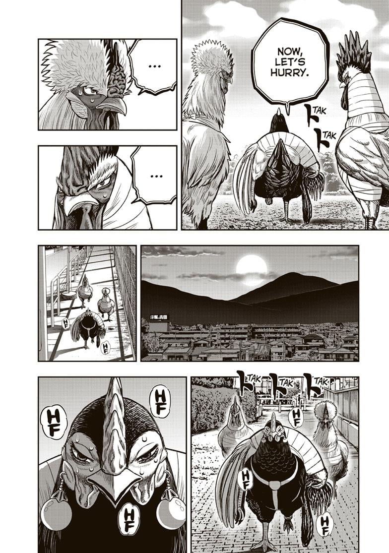 Read Rooster Fighter EN Manga Online