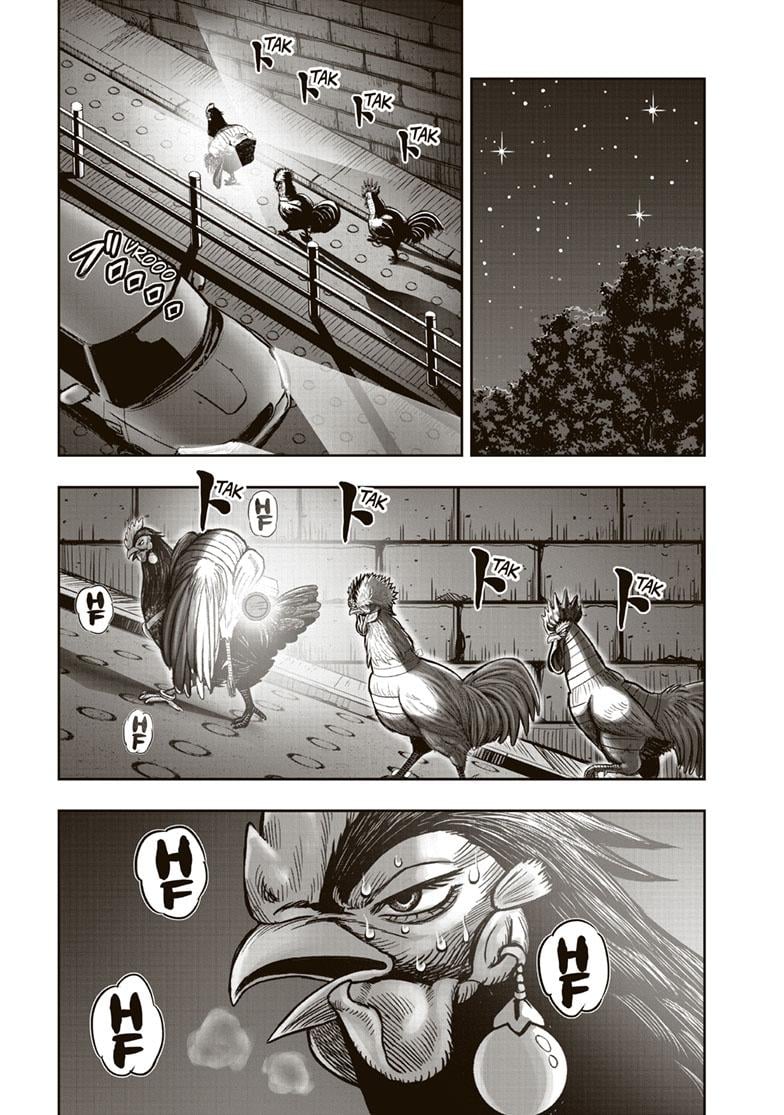 Read Rooster Fighter EN Manga Online