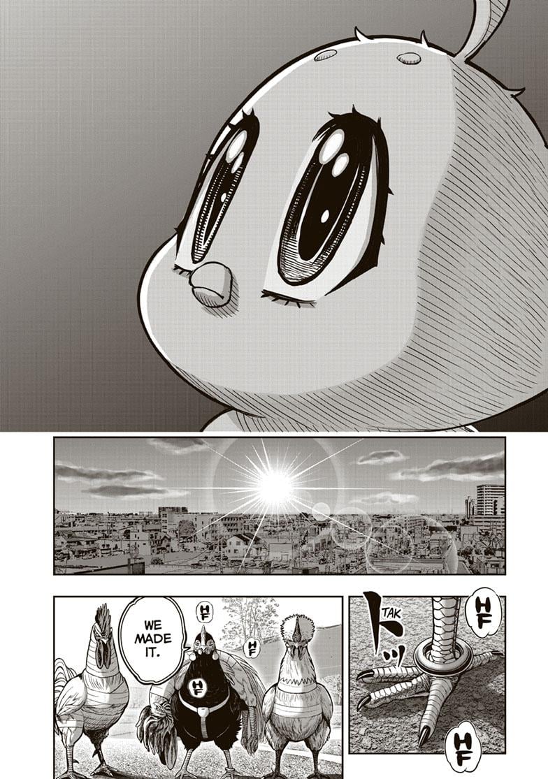 Read Rooster Fighter EN Manga Online