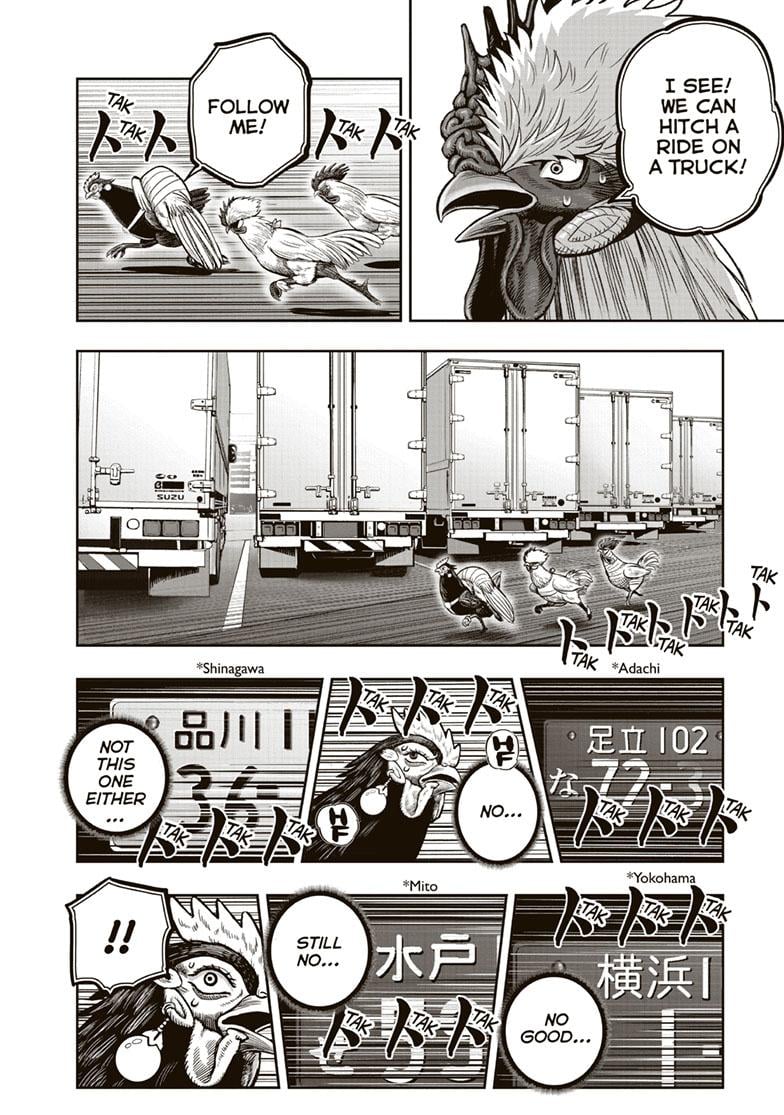 Read Rooster Fighter EN Manga Online