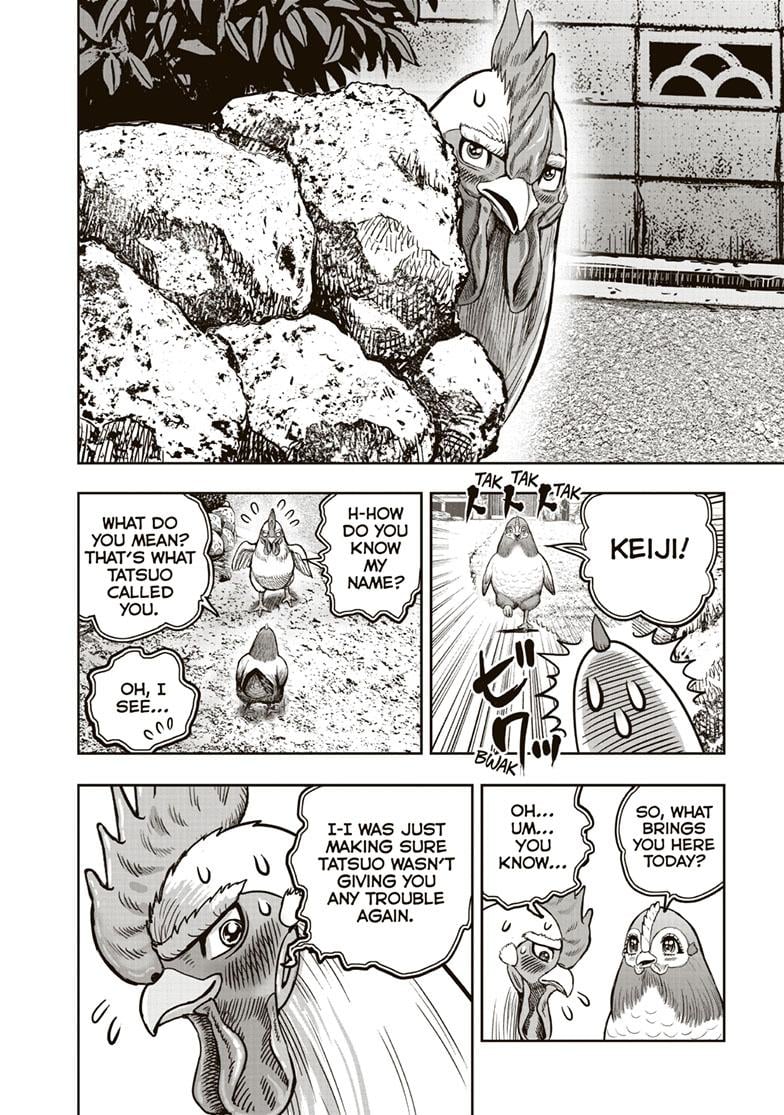 Read Rooster Fighter EN Manga Online