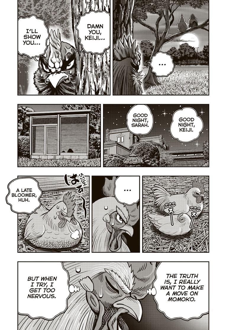 Read Rooster Fighter EN Manga Online
