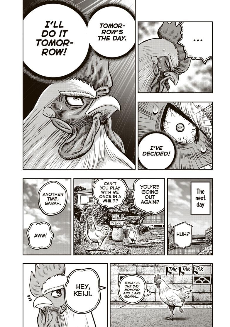 Read Rooster Fighter EN Manga Online