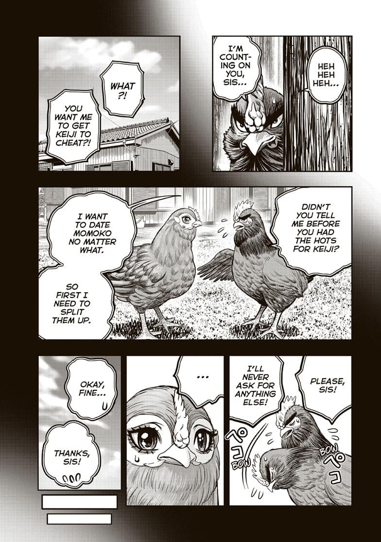Read Rooster Fighter EN Manga Online