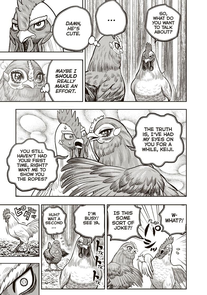 Read Rooster Fighter EN Manga Online