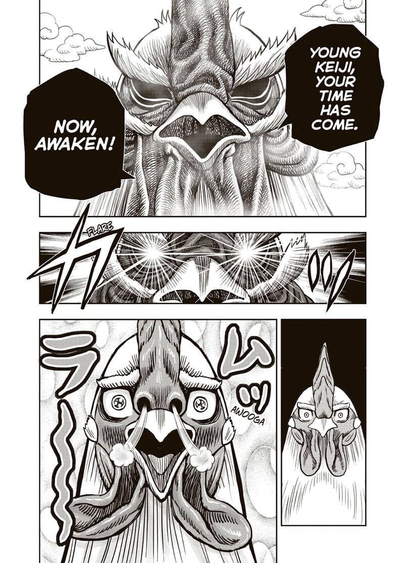 Read Rooster Fighter EN Manga Online