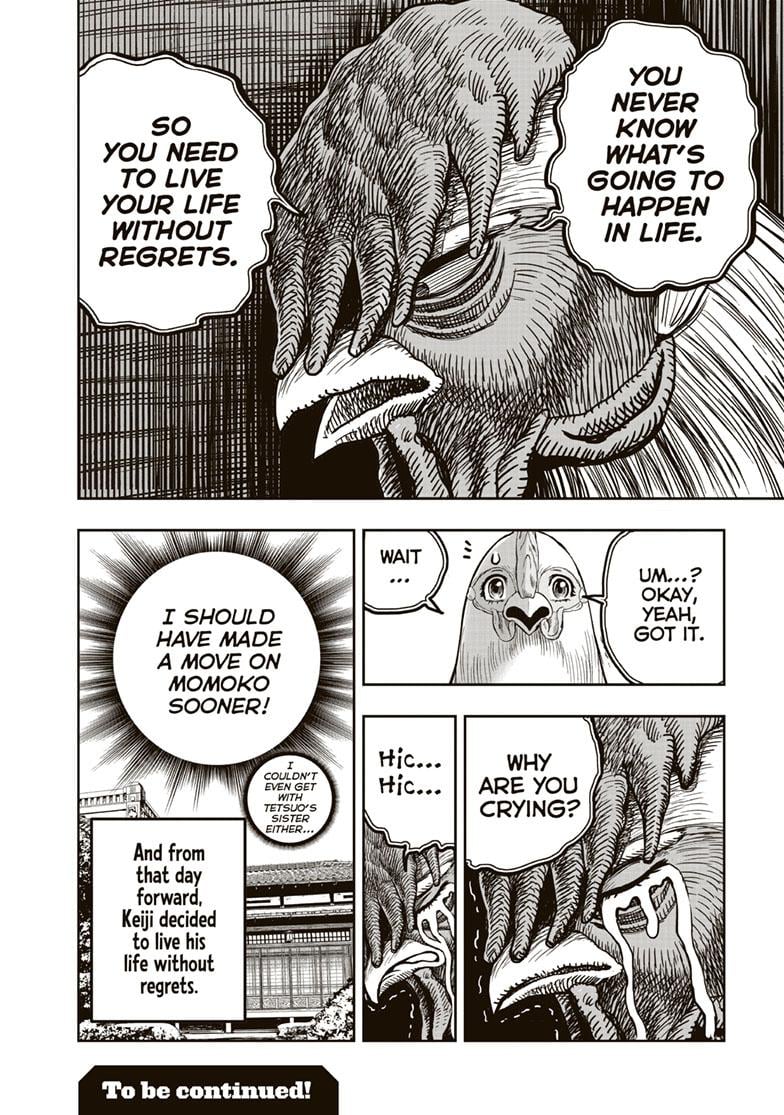 Read Rooster Fighter EN Manga Online