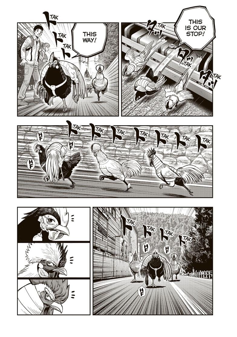 Read Rooster Fighter EN Manga Online