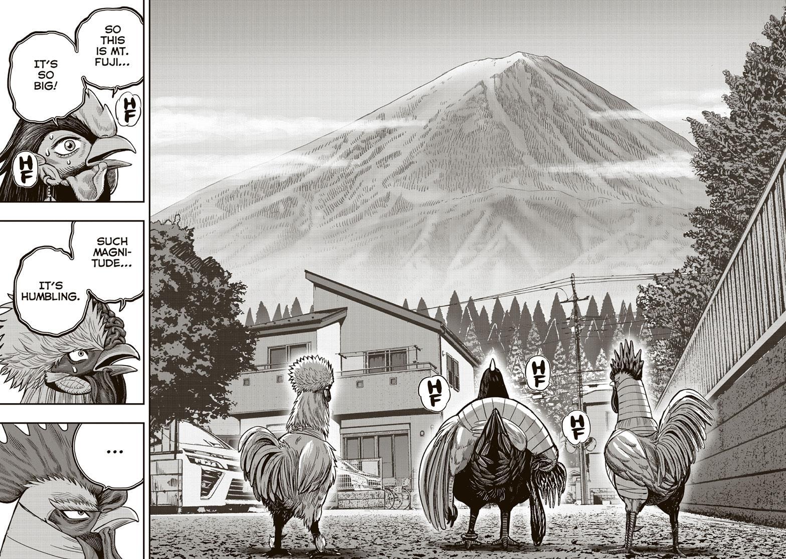 Read Rooster Fighter EN Manga Online