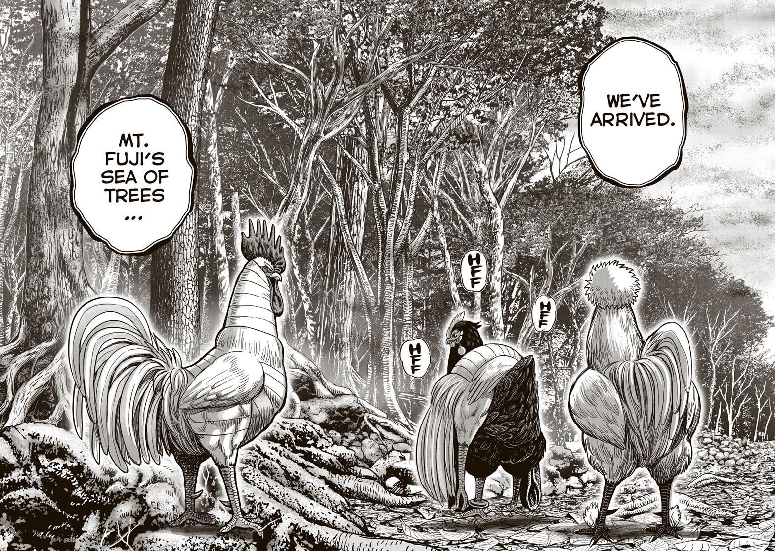 Read Rooster Fighter EN Manga Online