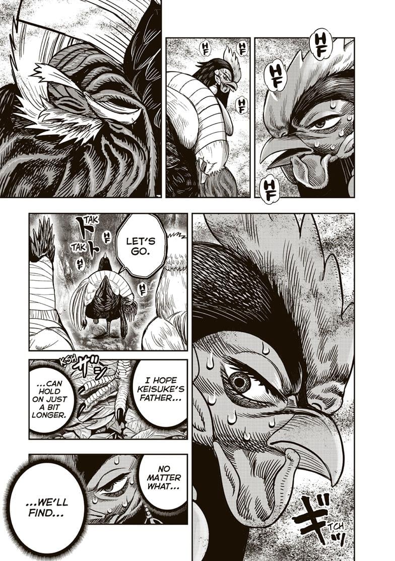 Read Rooster Fighter EN Manga Online