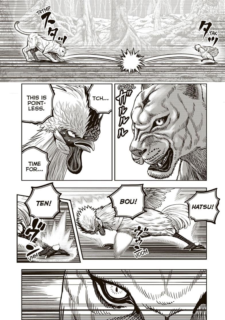 Read Rooster Fighter EN Manga Online