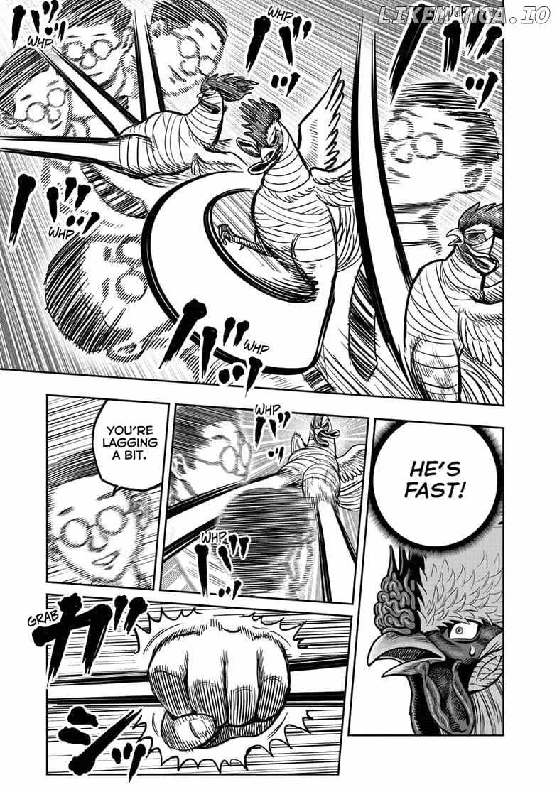 Read Rooster Fighter EN Manga Online