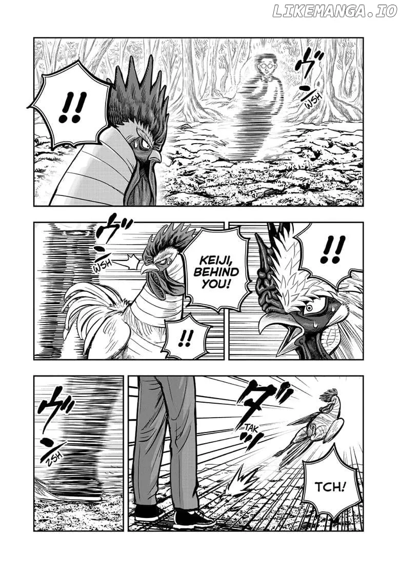 Read Rooster Fighter EN Manga Online