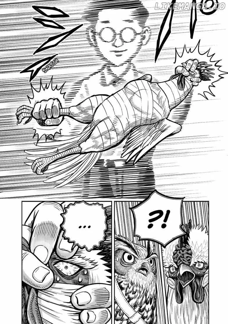Read Rooster Fighter EN Manga Online