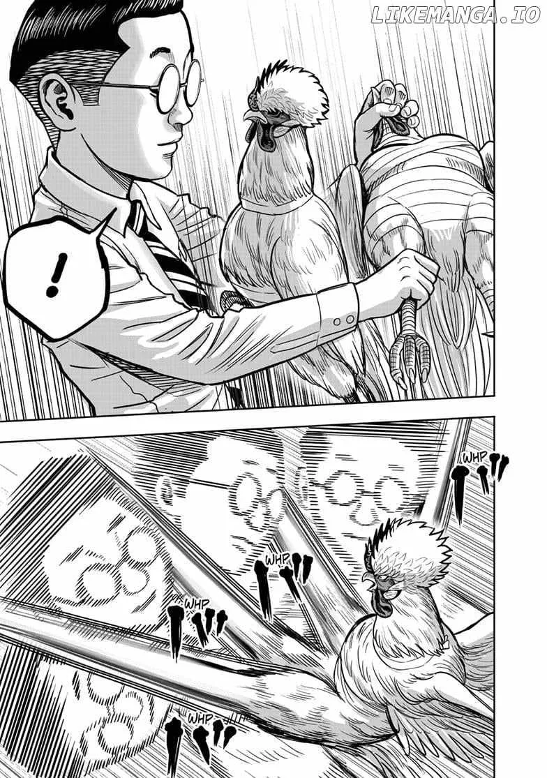 Read Rooster Fighter EN Manga Online