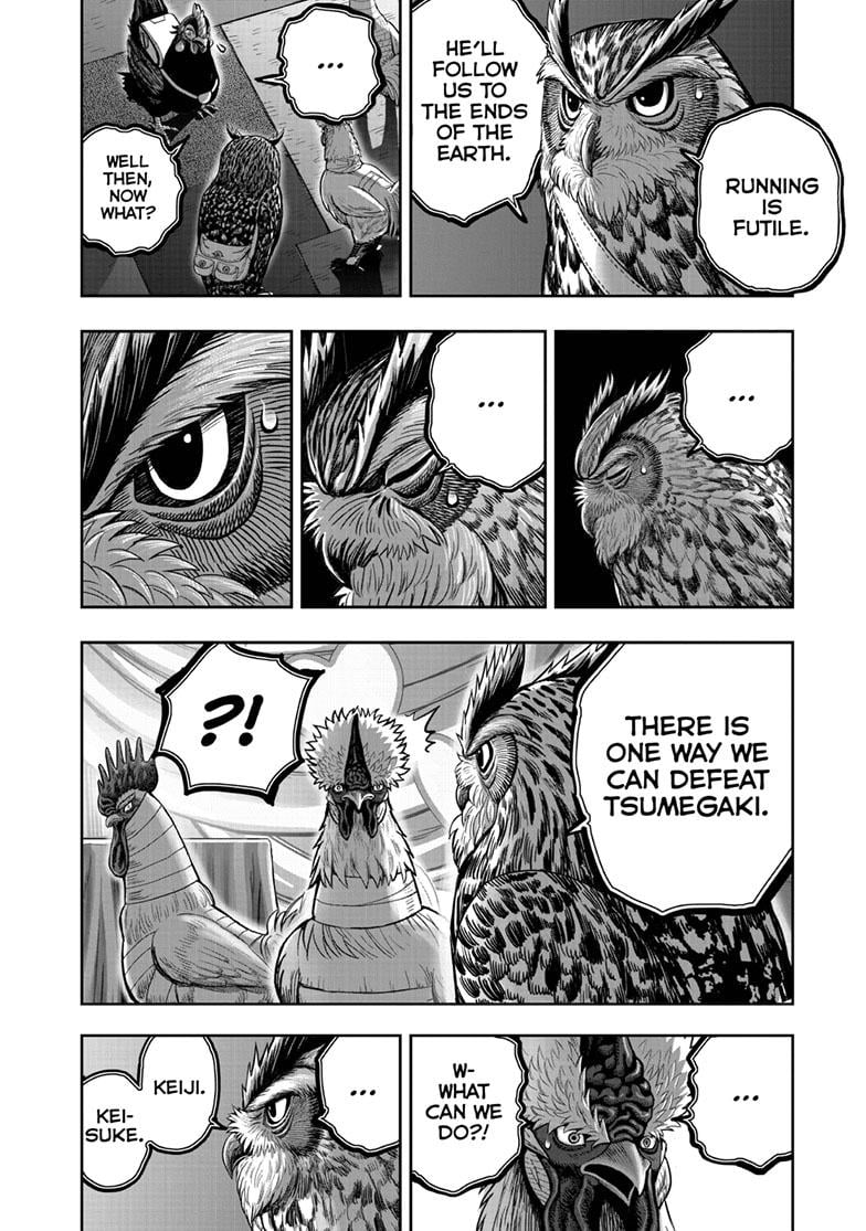 Read Rooster Fighter EN Manga Online