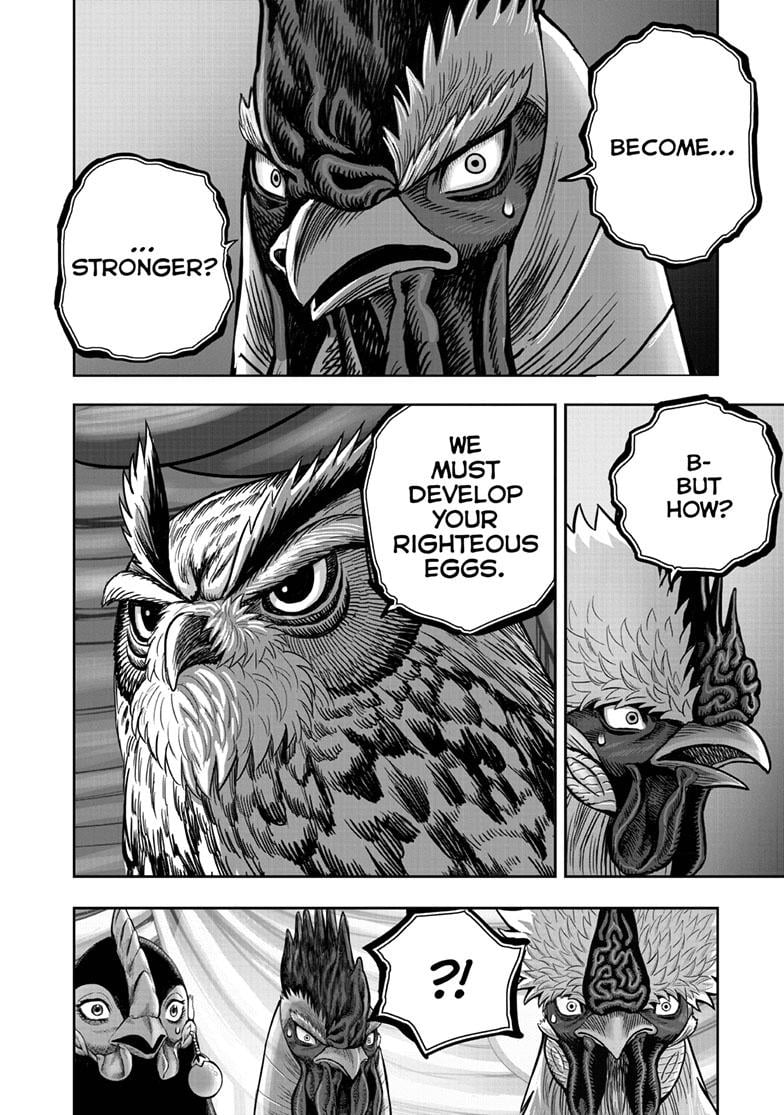 Read Rooster Fighter EN Manga Online