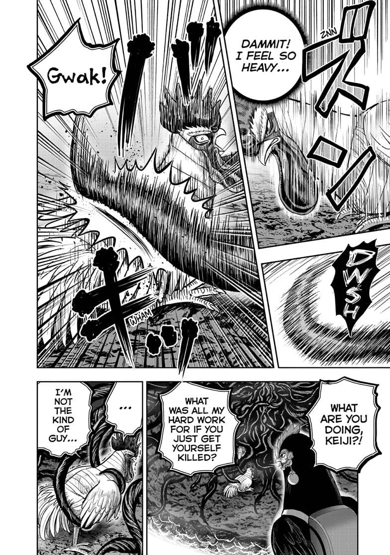Read Rooster Fighter EN Manga Online