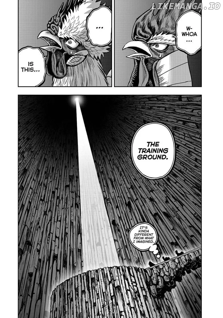 Read Rooster Fighter EN Manga Online